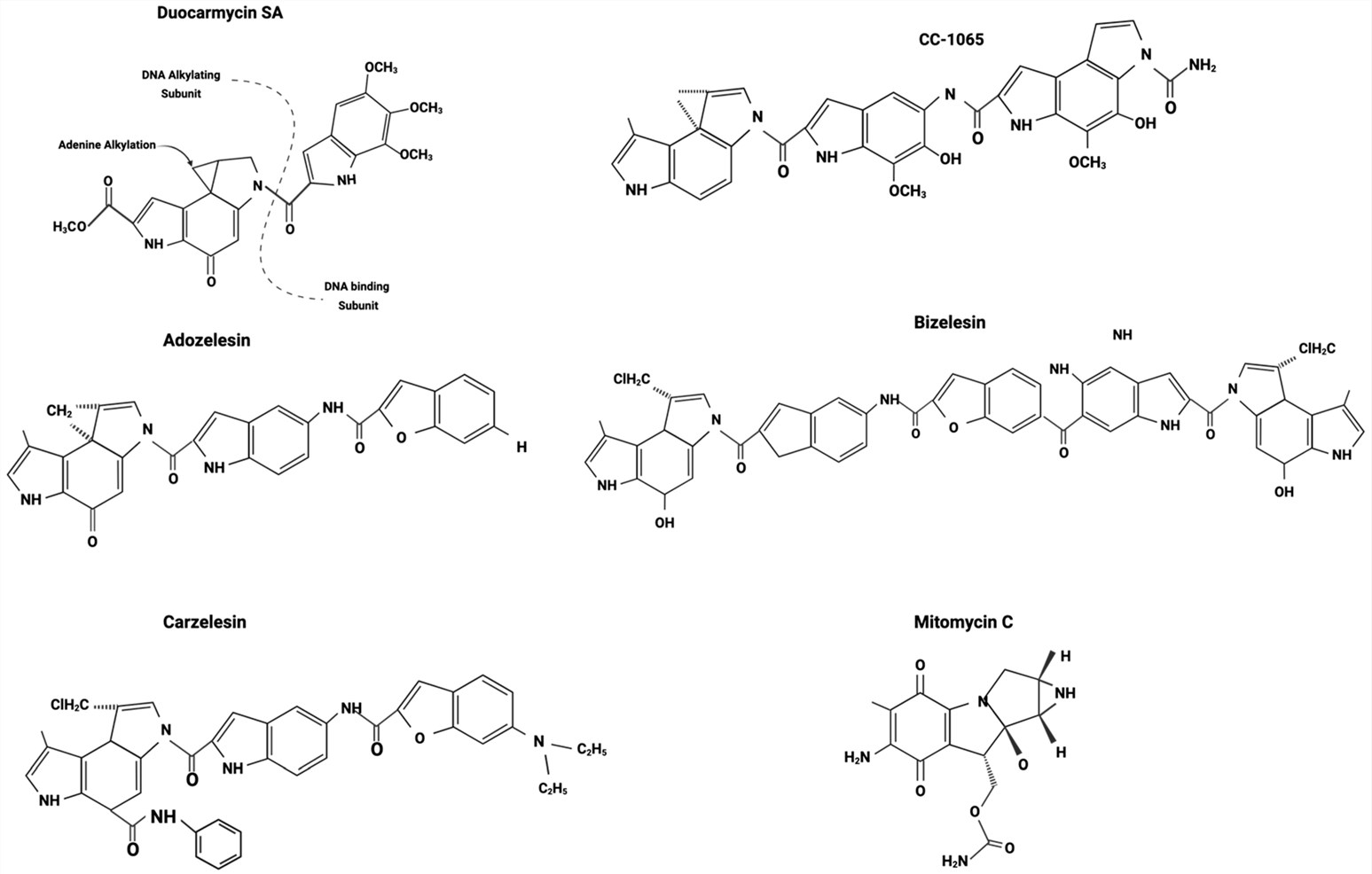 Fig.2 Duocarmycin derivatives